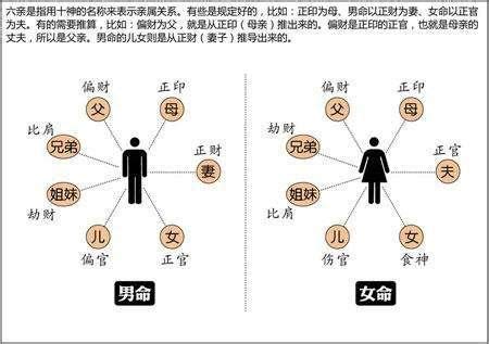 十神六亲|《四柱八字》六亲十神详解（爱好者可收藏）